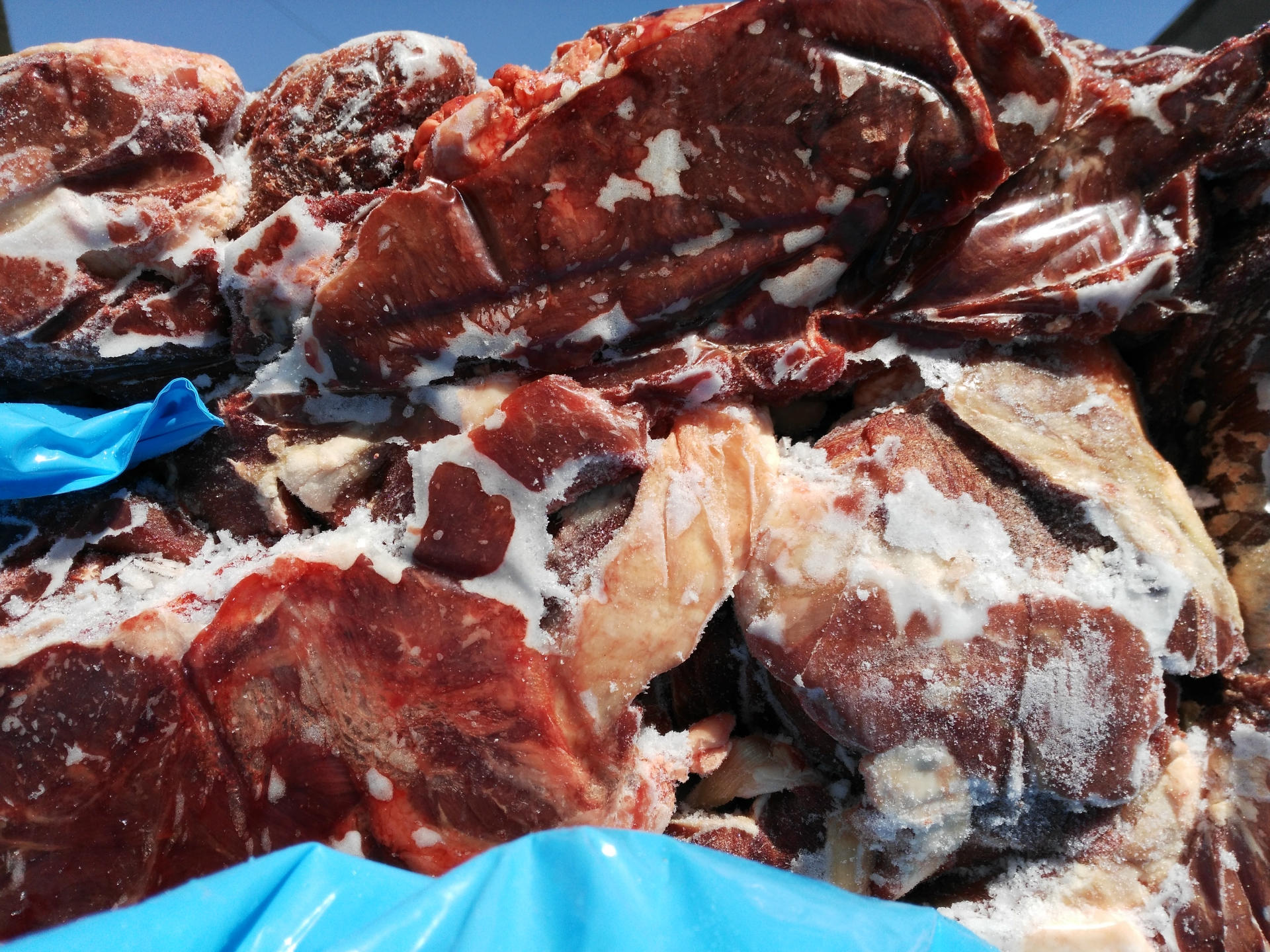 海关总署：即日起允许符合要求的乌拉圭牛黄进口