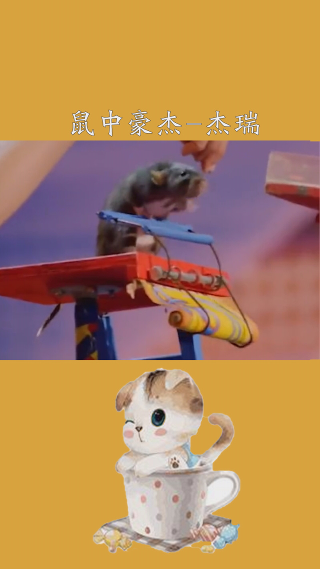 “中宠转2”一度跌15%