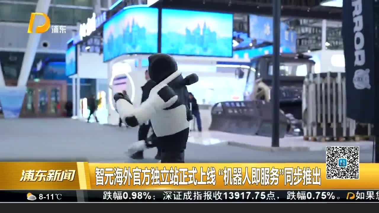 国家层面海外综合服务平台正式上线