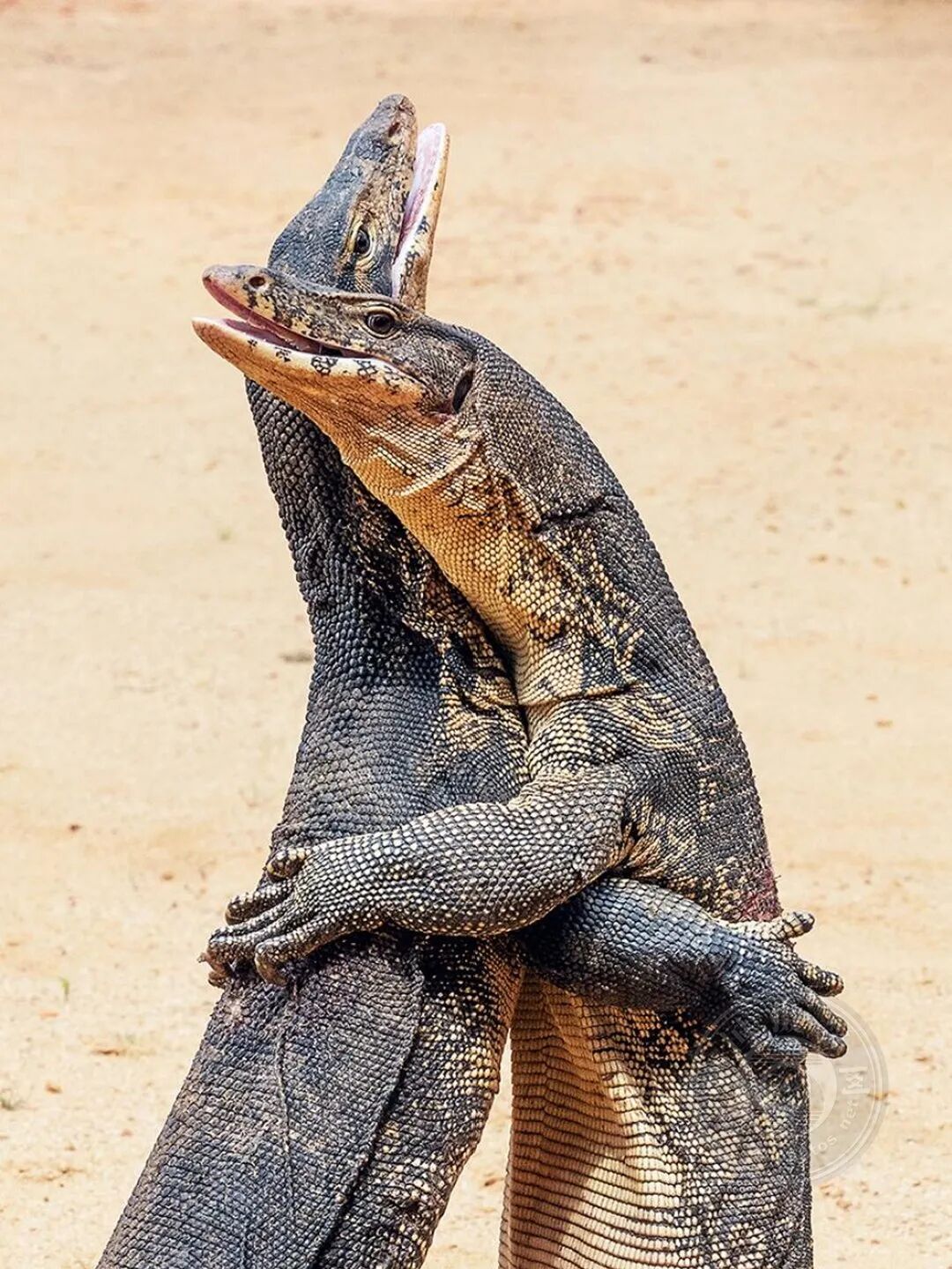 波黑2025年旅游业实现稳定增长，过夜数突破400万