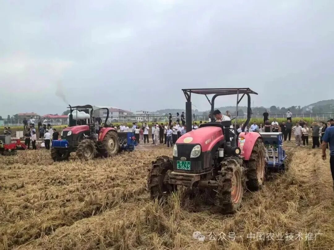 农业农村部部署冬油菜病虫害防控及大面积单产提升工作