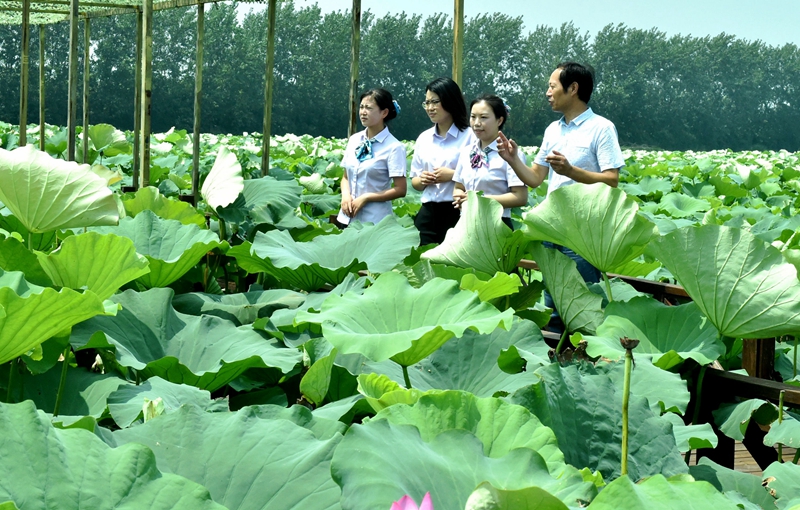 华夏华电清洁能源REIT成功上市！树绿色金融创新标杆