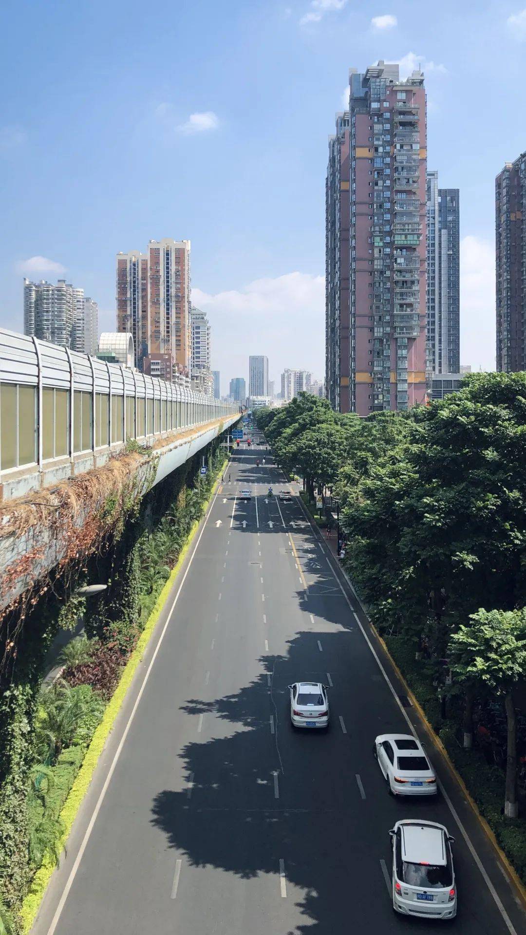 科创板两融余额2946.03亿元 较上一交易日环比增加11.12亿元