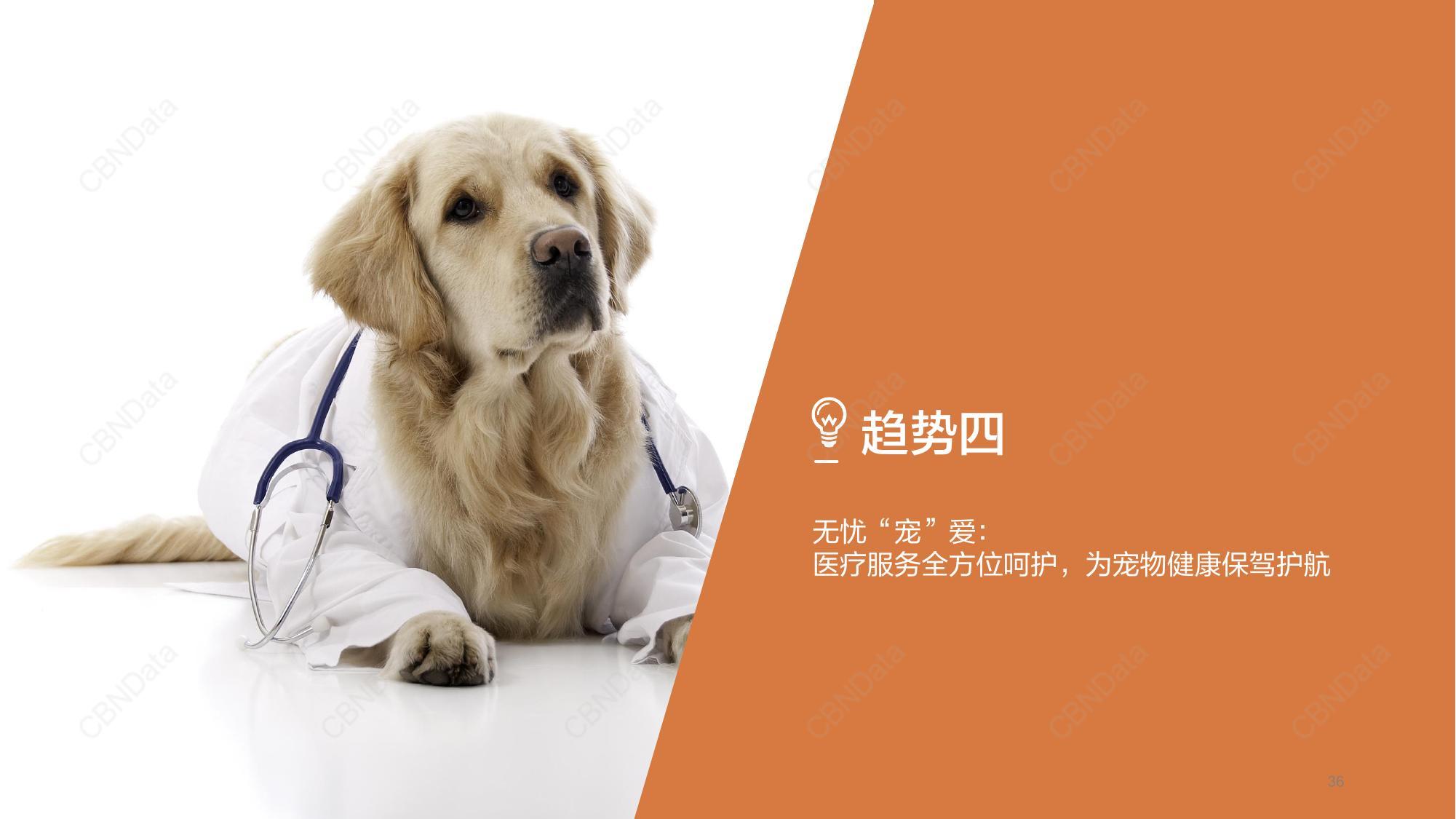 完善宠物服务保障，促进宠物消费生态健康发展