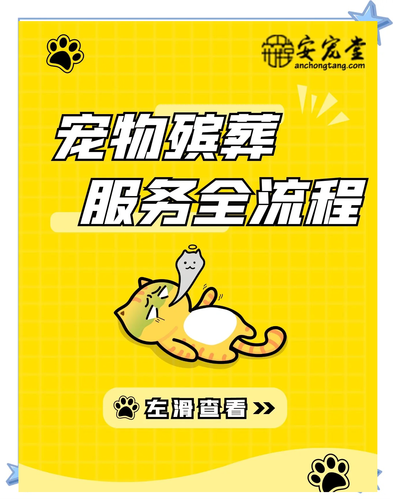 完善宠物服务保障，促进宠物消费生态健康发展