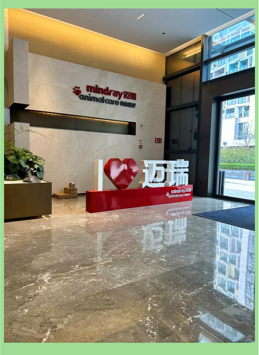 迈瑞医疗获得发明专利授权：“一种医疗设备系统以及通气治疗辅助设备”