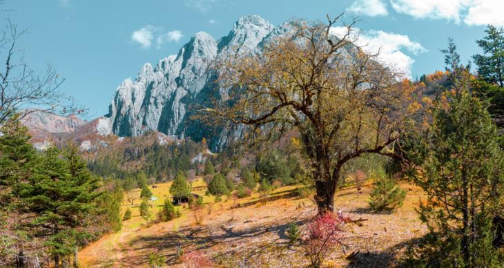 成阿共建户外运动产业生态 “雪山经济”加速价值转化