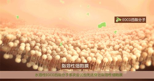 通源环境获得发明专利授权：“一种非膜组合式高级氧化垃圾渗滤液处理系统”