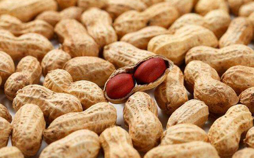 印度下调出口退税税率，农产品及加工食品获豁免